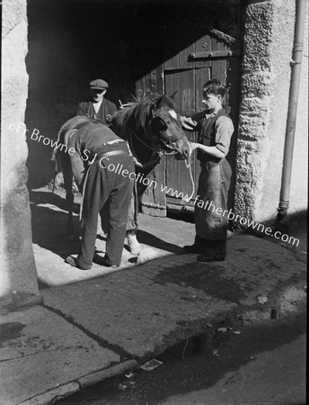 BLACKSMITH SHOEING HORSE